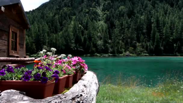 Paesaggio Alpino Sul Lago Delle Fate — Video Stock