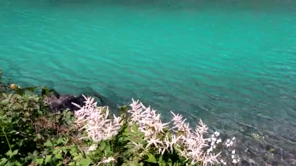 Εντυπωσιακό Τοπίο Αλπική Λίμνη Γαλαζοπράσινα Νερά — Αρχείο Βίντεο