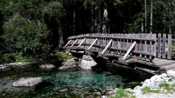 Letni Krajobraz Moście Alpejskim — Wideo stockowe