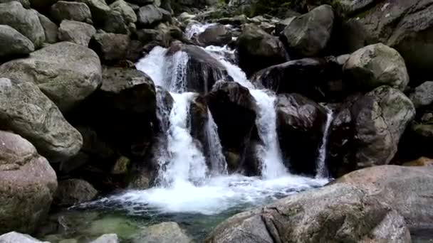 Entre Lagos Córregos Descobrindo Fontes Das Dolomitas — Vídeo de Stock