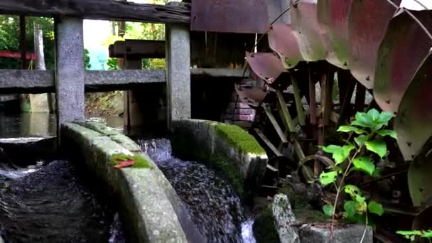 Eine Zeitreise Eine Alte Wassermühle Wald — Stockvideo