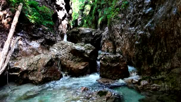 ストリーム キャニオン トレンティーノの水の驚異を発見する旅 — ストック動画