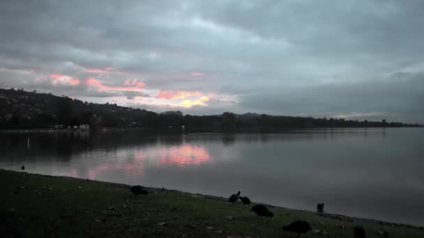 Фантастичний Пейзаж Світанку Озері Варезе — стокове відео