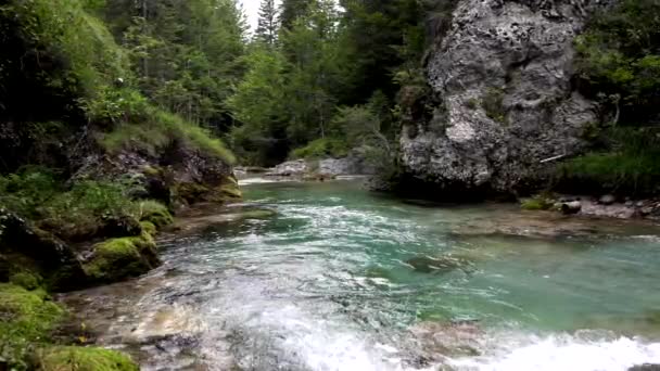 Ένας Φυσικός Παράδεισος Τυρκουάζ Ποταμός Των Δολομιτών — Αρχείο Βίντεο