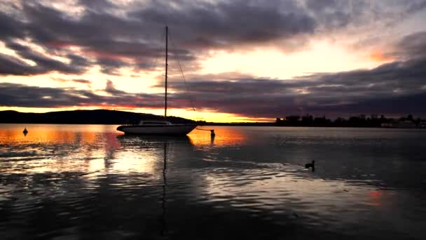 Φανταστικό Φθινοπωρινό Τοπίο Την Αυγή Στη Λίμνη Maggiore — Αρχείο Βίντεο