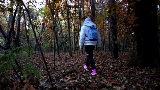 Людина Прогулянки Лісі Восени — стокове відео