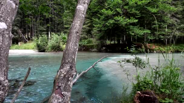 Φανταστικό Καλοκαιρινό Τοπίο Αλπικό Ρέμα Γαλαζοπράσινα Νερά — Αρχείο Βίντεο