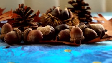 Still Life - Çeşitli sonbahar meyveleriyle kompozisyon