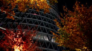 Gece Sahneleri - Milano 'da Doğa ve Mimarlık