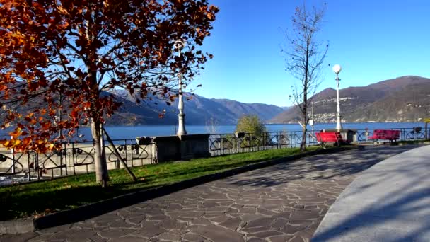 Maggiore湖上Luino的秋天全景 — 图库视频影像