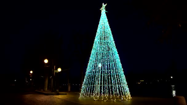 Night Scenes Kerstboom Aan Het Meer — Stockvideo