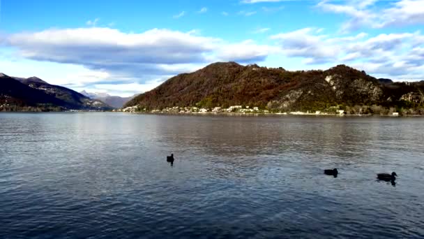 Autumn Landscape Lake Lugano — Stock Video