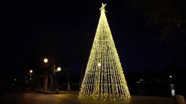 Scènes Nuit Arbre Noël Sur Lac — Video