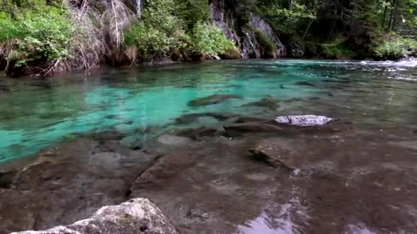 Spektakularny Alpejski Strumień Turkusową Wodą Dolomitach — Wideo stockowe