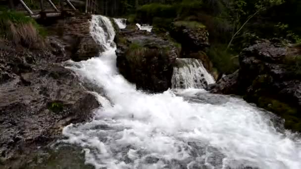 Paisagem Verão Nas Cachoeiras Valesinella — Vídeo de Stock