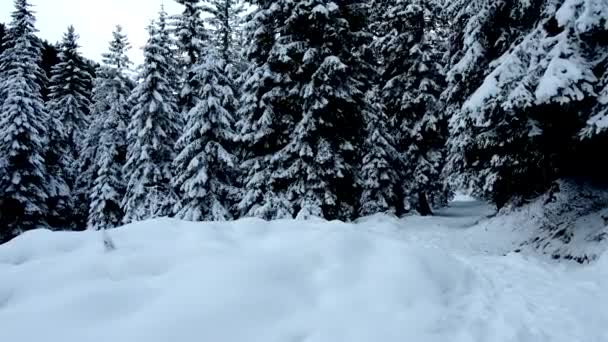 ドロマイトの雪と風景 — ストック動画