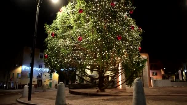 Cenas Noturnas Árvore Natal Uma Aldeia Alpina — Vídeo de Stock