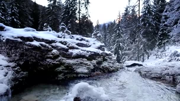 Paisagem Dolomite Fluxo — Vídeo de Stock