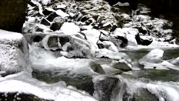 Zimowe Krajobrazy Zaczarowana Zima Dolomitów — Wideo stockowe