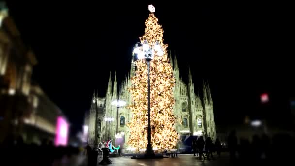 Éjszakai Tájak Karácsonyfa Milánóban — Stock videók