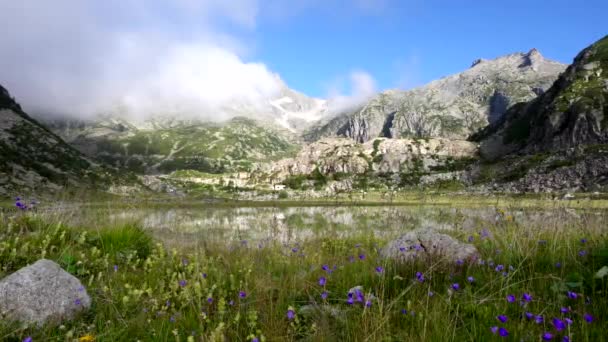 Φανταστικό Καλοκαιρινό Τοπίο Στην Παγωμένη Λίμνη Του Cornisello — Αρχείο Βίντεο