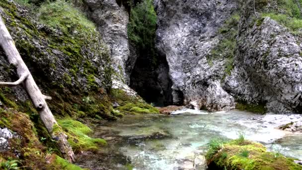 Paisagem Riacho Dolomita Com Pequenas Cachoeiras — Vídeo de Stock