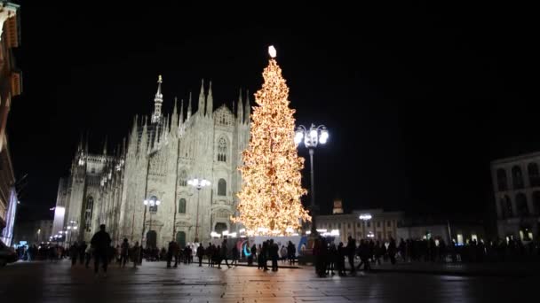Nattscener Julgran Katedralen Milano — Stockvideo