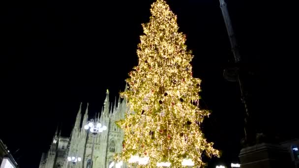 Nattlandskap Julgran Katedralen Milano — Stockvideo
