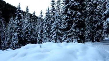 İtalyan Dolomitlerinin karlı manzarası