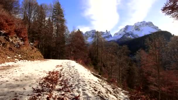 Vinterlandskap Dolomiterna — Stockvideo
