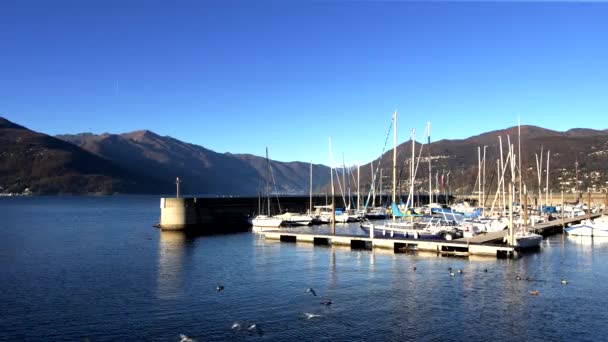 Χειμερινό Τοπίο Στο Λιμάνι Του Luino Ιταλία — Αρχείο Βίντεο