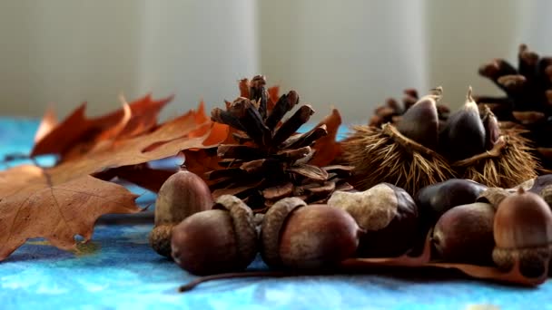 Still Life Autumn Landscape Leaves Acorns Chestnuts Pine Cones — Stock Video