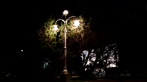 Natt Scener Gamle Street Lampe Byen Stresa Lake Maggiore – stockvideo