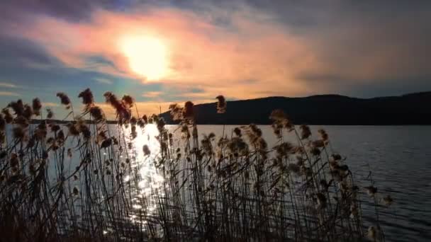 Озеро Комабіо Рожеве Захід Сонця — стокове відео