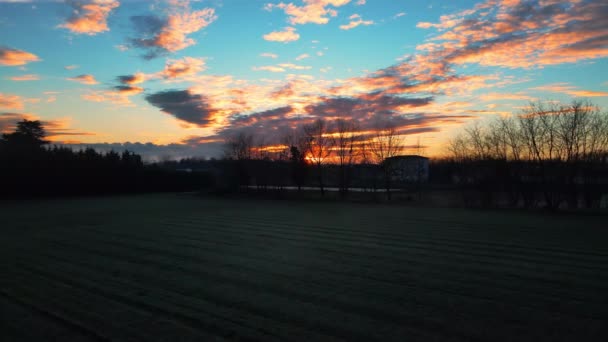 Luchtdrone Winter Zonsondergang Een Bos — Stockvideo