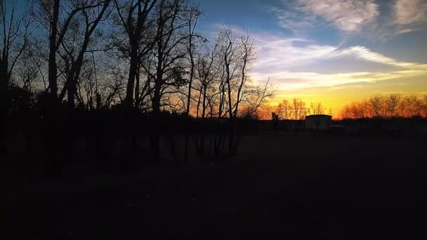 Drone Aéreo Paisaje Invernal Con Puesta Sol Bosque — Vídeos de Stock