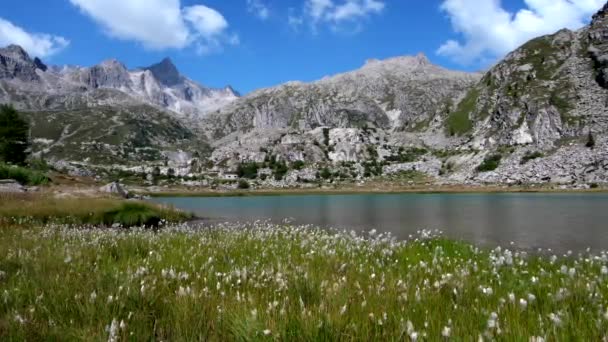 Λίμνες Cornisello Ένας Φυσικός Παράδεισος Στους Δολομίτες — Αρχείο Βίντεο