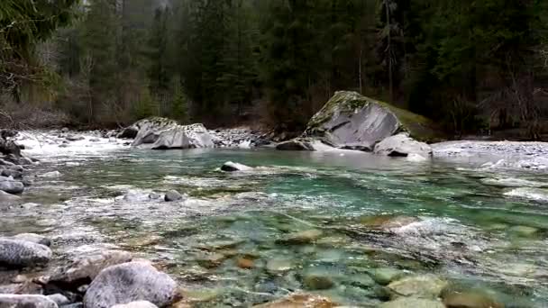 Альпийская Река Северной Европе — стоковое видео