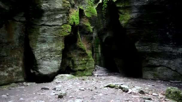 Uriezzo Nun Gizemli Orrido Sunu Keşfetmek Kayanın Kalbine Bir Yolculuk — Stok video