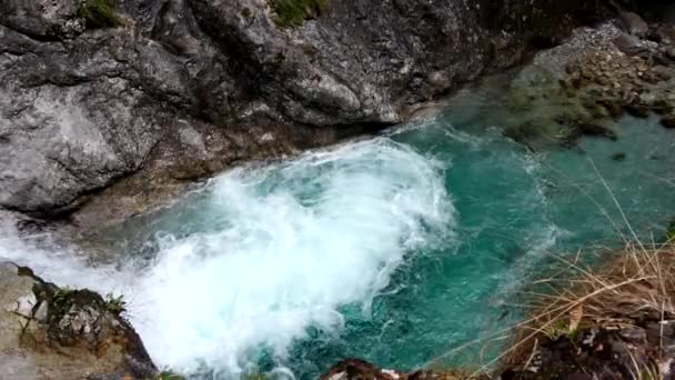 Vertova Valley Nature Tells Stories Water Stone — Stock Video