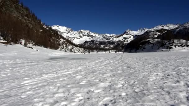 Fehér Pompa Tél Alpe Deveróban — Stock videók