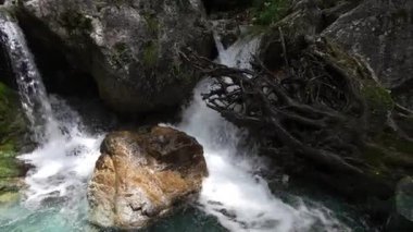  Erve havuzlarının sakinliği, bir barış vahası.