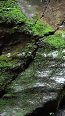 Dikey - Doğal Harikalar, Orridi di di Uriezzo 'nun gizemli dünyası