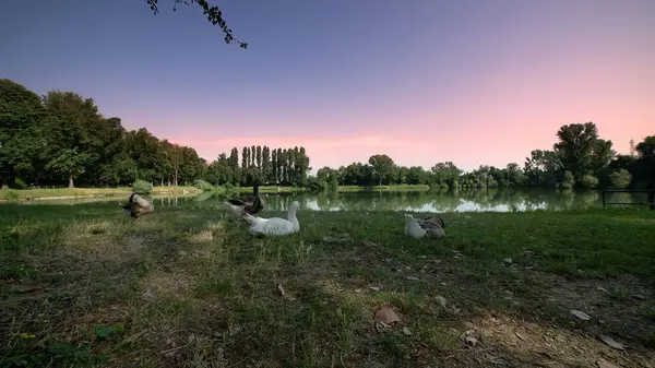 Şafak vakti Milano 'daki Quarry Park' ta manzara.