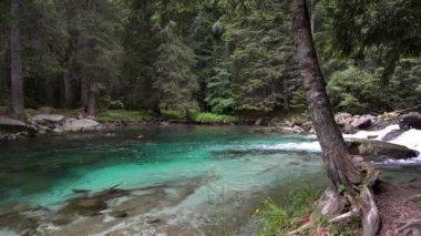  Amola 'nın turkuaz göllerini keşfedin. Dolomitlerin doğal cenneti.