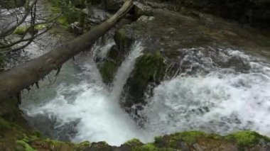 Güzel Alp Şelaleleri - Gizli Konum