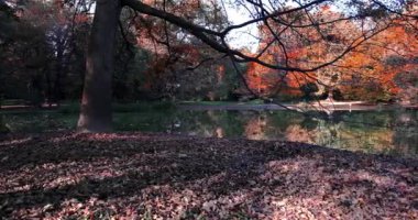 Parkta sonbahar manzarası.