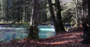 Amola 'nın Dolomite göllerinde sonbahar manzarası