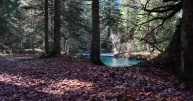 Sonbaharda turkuaz gölünü keşfeden Dolomitler.