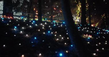  Peri ormanında aydınlatılmış Noel manzarası